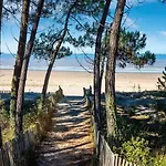Bord De Campsite